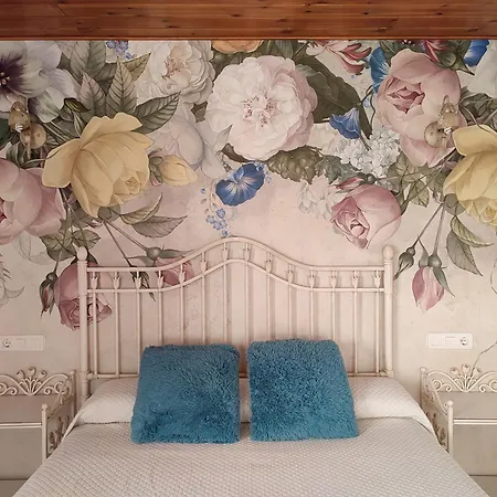 Alameda Ii Con Chimenea Salon Y Barbacoa En Patio Prázdninový dům